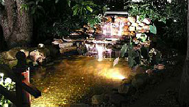 Water Feature Lighting, Centreville, MD