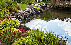 Water Gardens, Severna Park, MD