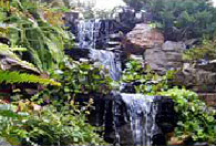 Waterfall, Grasonville, MD