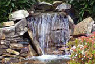 Waterfall Pond, Davidsonville, MD