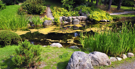 Aquadon Pond Services slide show of beautiful ponds and water gardens and waterfalls.