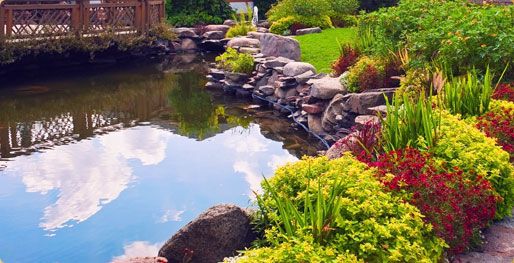 Aquadon Pond Services
