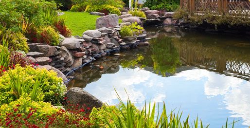 Aquadon Pond Services