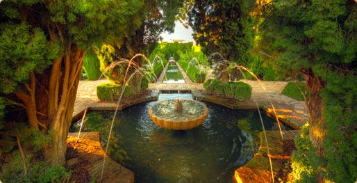 Aquadon Pond Services