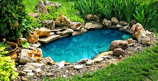 Aquadon Pond Services