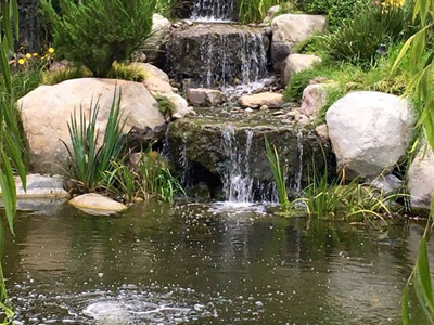 Pond Services, Anne Arundel, MD Anne Arundel-MD