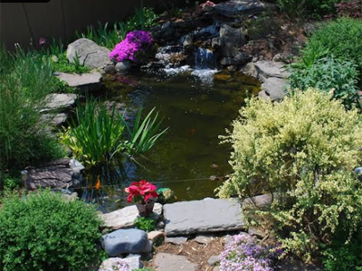 Pond Services, Baltimore County, MD Baltimore County, MD