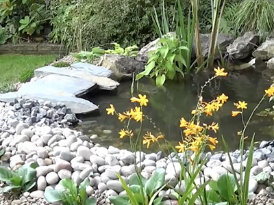 Garden Ponds