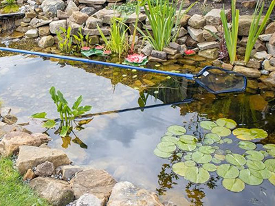 Pond-Cleaning