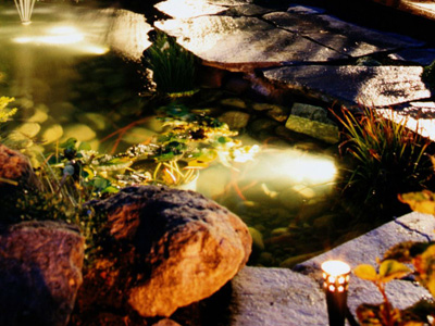 Pond-Lighting