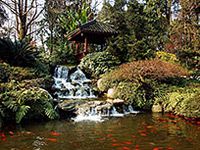 Koi Ponds, Annapolis, MD