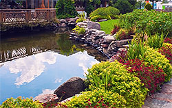 Water Ponds, Davidsonville, MD Water Ponds, Davidsonville, MD