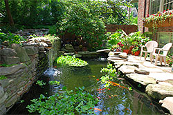 Koi Pond Design, Kent Island, MD