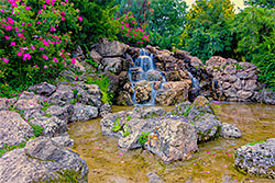 Koi Ponds, Davidsonville, MD