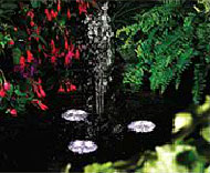 Pond Lighting, Annapolis, MD Pond Lighting, Annapolis, MD