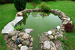 Professional Koi Pond, Kent Island, MD