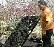 Pond Maintenance, Annapolis, MD